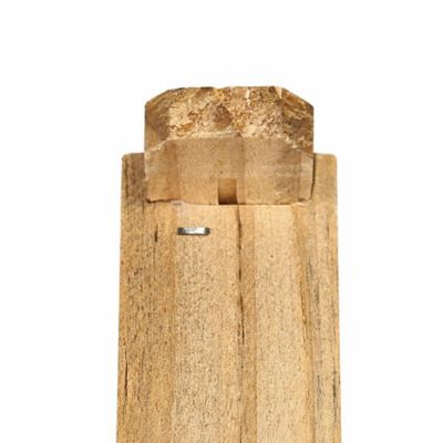 Image showing 6 th Mellivo Deep Frame with Foundation, Black