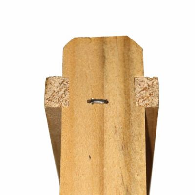 Image showing 7 th Mellivo Deep Frame with Foundation, Black