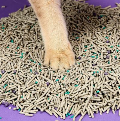 Image showing 9 th Petkit Tofu Based Flushable Clumping Cat Litters 16lb
