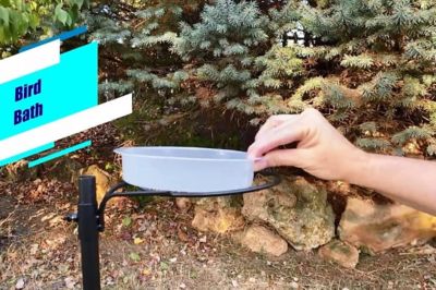 Image showing  Premium Bird Feeding Station Bath Tray (Metal Ring is NOT Included) 3-Pack