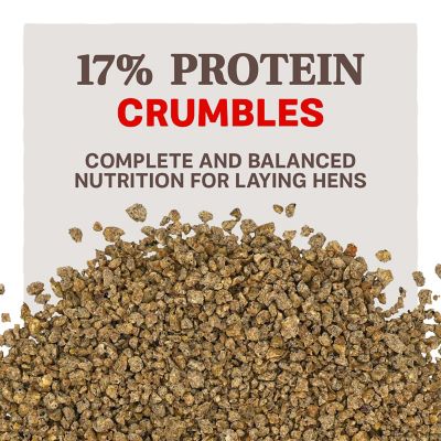 Image showing  Home Fresh Extra Egg Layer Omega Crumble