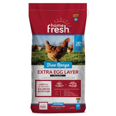 Kent Blue Seal Home Fresh Extra Egg Layer Free Range