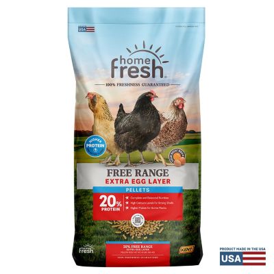 Image showing  Home Fresh Extra Egg Layer Free Range
