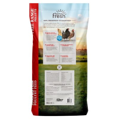 Image showing  Home Fresh Extra Egg Layer Free Range