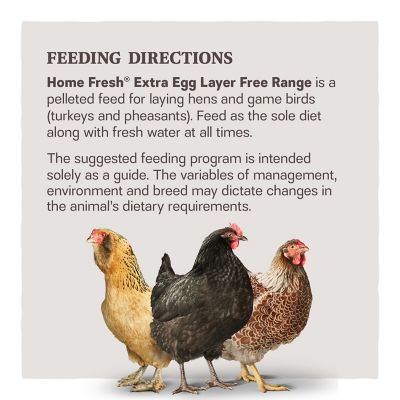 Image showing  Home Fresh Extra Egg Layer Free Range