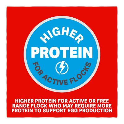 Image showing 6 th Kent Blue Seal Home Fresh Extra Egg Layer Free Range