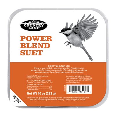 Image showing  Power Blend Suet Wild Bird Food, 10 oz.