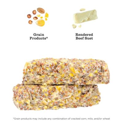 Image showing  Power Blend Suet Wild Bird Food, 10 oz.