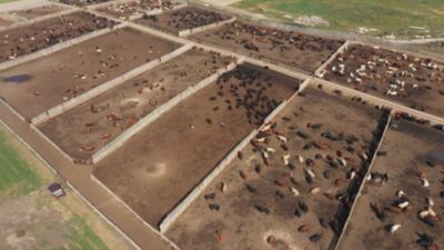 Image showing  Glowing Goat Hoof and Coat Mineral Pouch