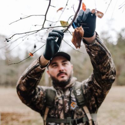 Image showing  Buck Tarsal Gland