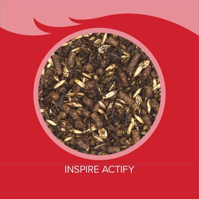 Image showing  Inspire Actify