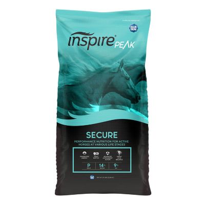 Kent Blue Seal Inspire Peak Secure