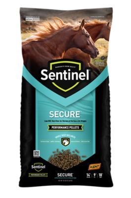 Image showing  Inspire Peak Secure