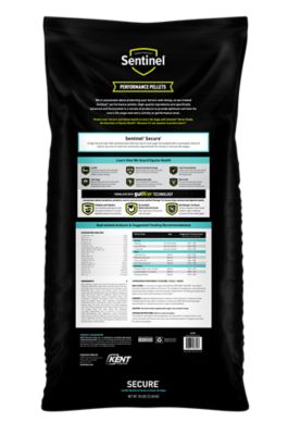 Image showing  Inspire Peak Secure