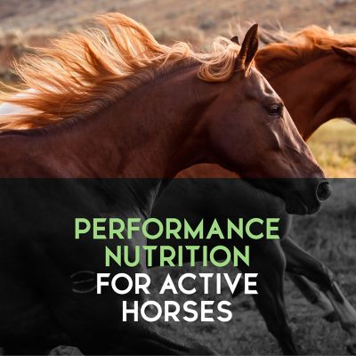 Image showing  Inspire Peak Performance Textured 12