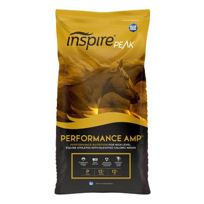 Kent Blue Seal Inspire Peak Performance AMP