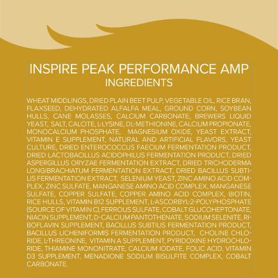 Image showing  Inspire Peak Performance AMP