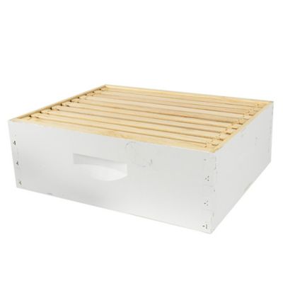 Image showing  10 Frame Medium Honey Super With Frames