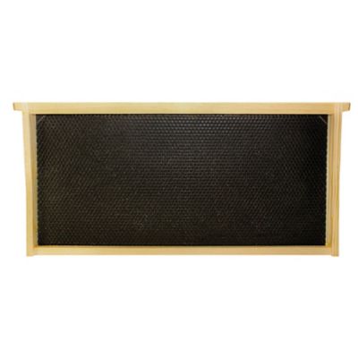 Image showing 6 th Mann Lake Basic Beekeeping Starter Kit