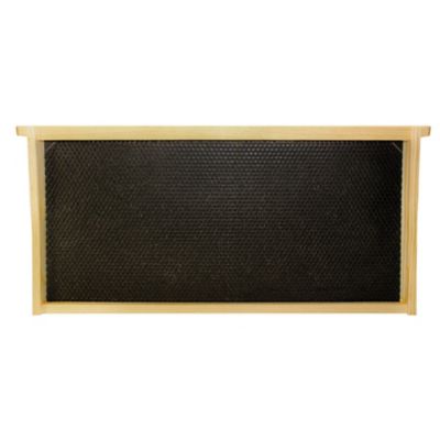 Image showing  10 Frame Complete Beehive