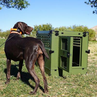 Image showing  Aluminum Collapsible Dog Crate, Large Forrest Green