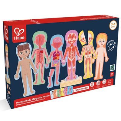 Hape Human Body Magnetic Puzzle, 68 pc.