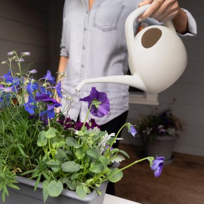 Image showing  Canary Watering Can 1.5 Liter - Cream Color - Long Spout