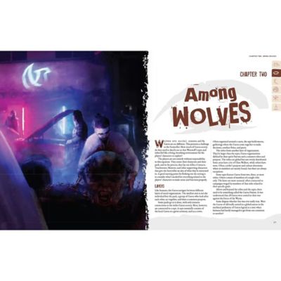Image showing  Werewolf The Apocalypse Shattered Nation RPG Book