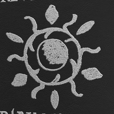 Image showing  Vampire The Masquerade Revelations of the Dark Mother Accessory