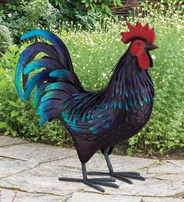 Image showing  Shetland Rooster LG, 13912