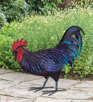 Image showing  Shetland Rooster MED, 13913