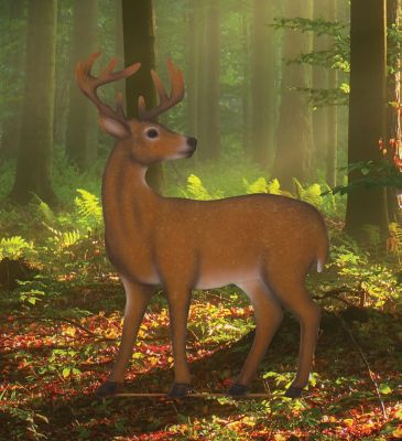 Image showing  Deer Stake