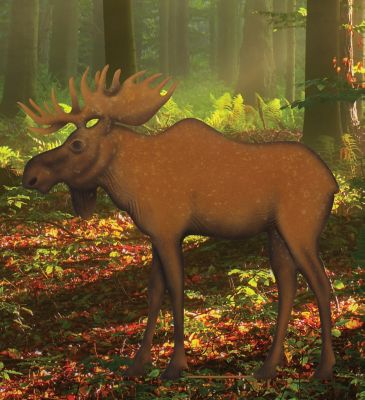 Image showing  Moose Stake