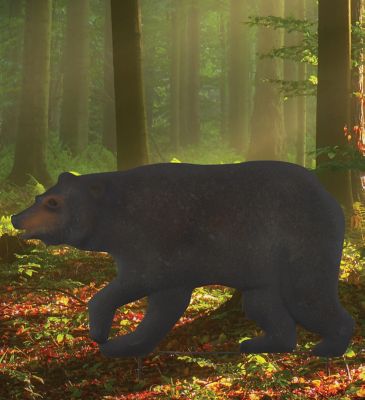 Image showing  Walking Bear Stake