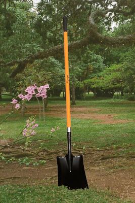 Image showing 2 th Ashman Online Fiberglass Long Handle Transfer Square Shovel, D-Grip with Heavy-Duty Metal Blade Shovel (2-Pack)
