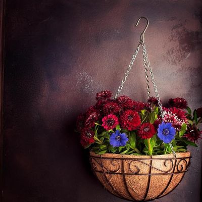 Image showing  Dia Black Metal Hanging Basket with Coco Liner (4-Pack)