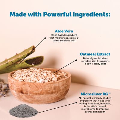 Image showing  Restore + Soothe 2 in 1 Shampoo + Conditioner for Sensitive Skin for Dogs & Cats