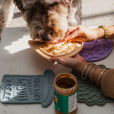 Image showing  Enrichment Lick Mat Grooved Silicone Dog Feeding Dish, G0871789002024