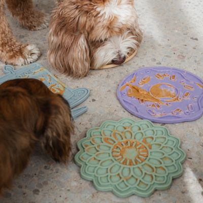 Image showing  Enrichment Lick Mat Grooved Silicone Dog Feeding Dish, G0871789002031