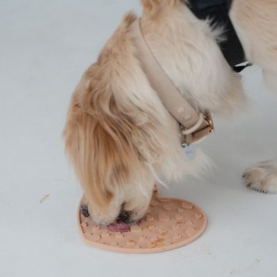 Image showing  Enrichment Lick Mat Grooved Silicone Dog Feeding Dish, G0871789002505