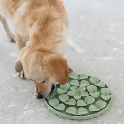 Image showing  Enrichment Snuffle Mat Textured Dog Feeding Pad, G0871789001560