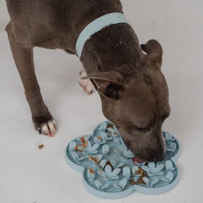 Image showing  Enrichment Snuffle Mat Textured Dog Feeding Pad, G0871789002581