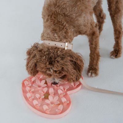 Image showing  Enrichment Snuffle Mat Textured Dog Feeding Pad, G0871789002550