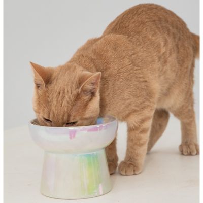 Image showing Dexypaws Elevated Ceramic Bowl For Cats 7 oz. Capacity
