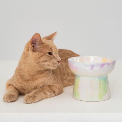 Image showing Dexypaws Elevated Ceramic Bowl For Cats 7 oz. Capacity