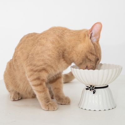 Image showing  Elevated Ceramic Bowl For Cats - White & Black Flower - 8.45 oz. Capacity