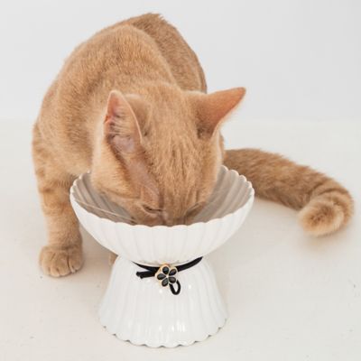 Image showing  Elevated Ceramic Bowl For Cats - White & Black Flower - 8.45 oz. Capacity