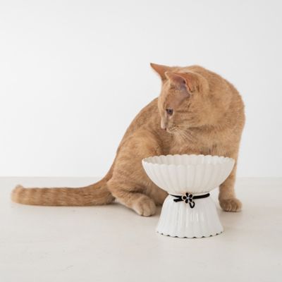 Image showing  Elevated Ceramic Bowl For Cats - White & Black Flower - 8.45 oz. Capacity