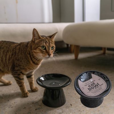 Image showing  Flat Top Ceramic Bowl For Cats - 7.5 oz. Capacity