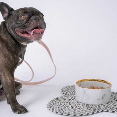Image showing  Marble Dog Bowl Gold Accent - 6.3 in. Diameter